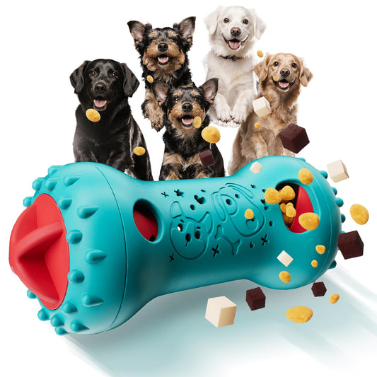Top 5 Must-have Pet Supplies Every Home Should Have