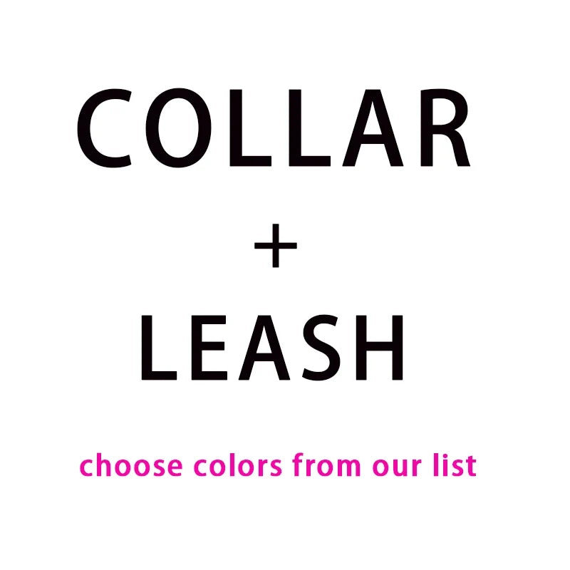Leashes & Leads