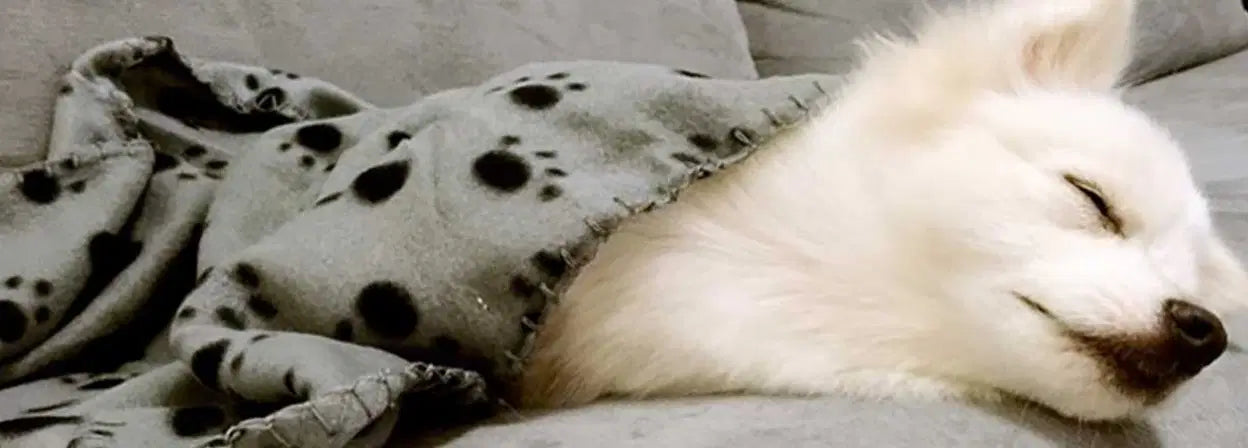 Blankets for dogs