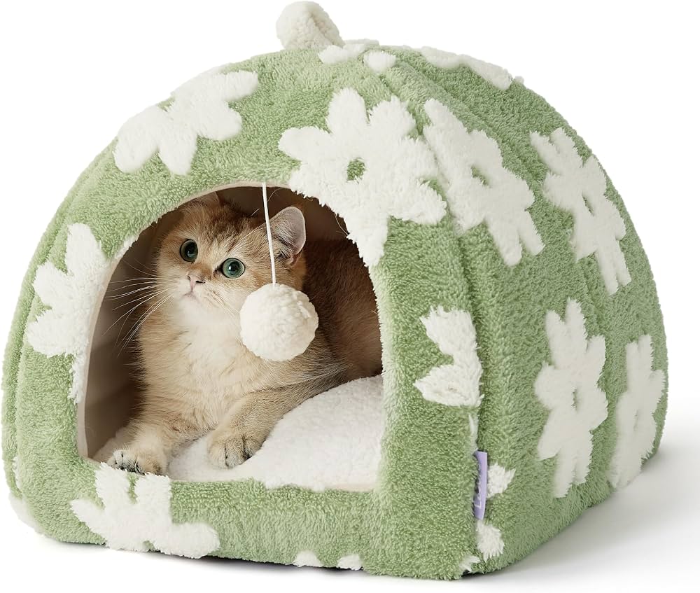 Cat Beds
