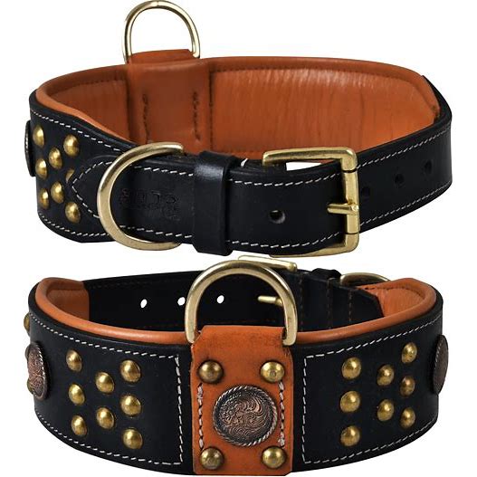 Leather Collars for Big Dogs