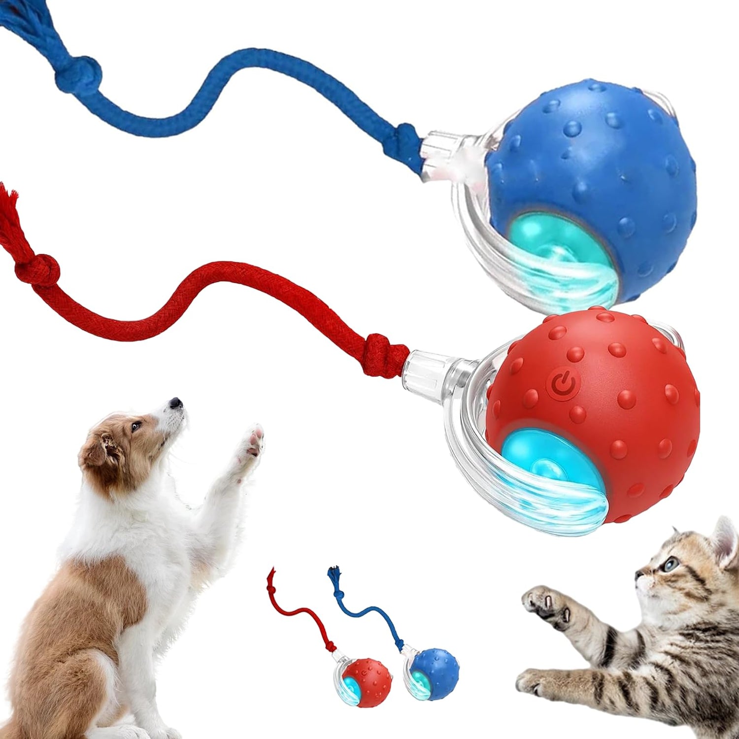 Pet Toys