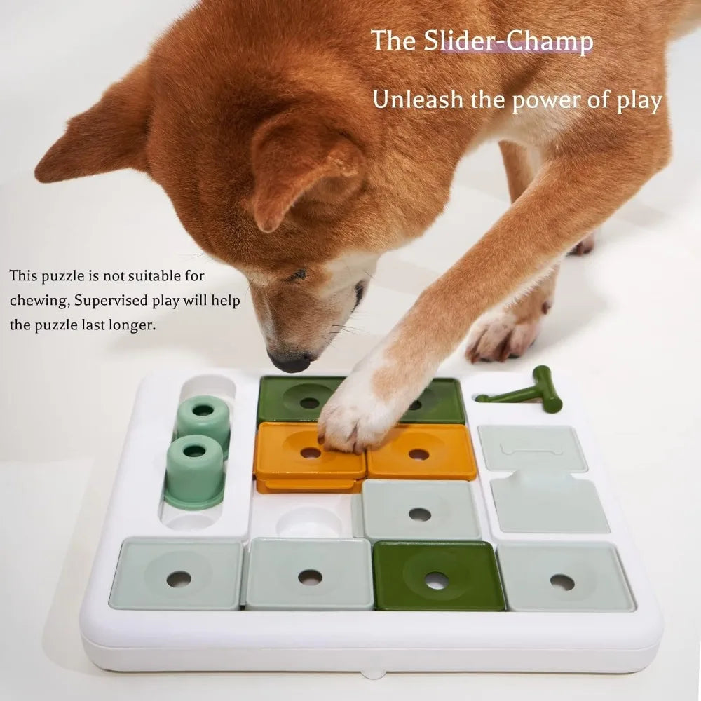 Interactive Puzzle Toys