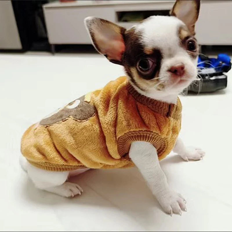 Pet Apparel