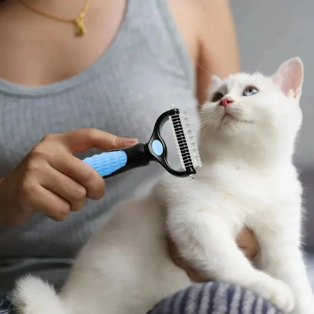 Cat Collars