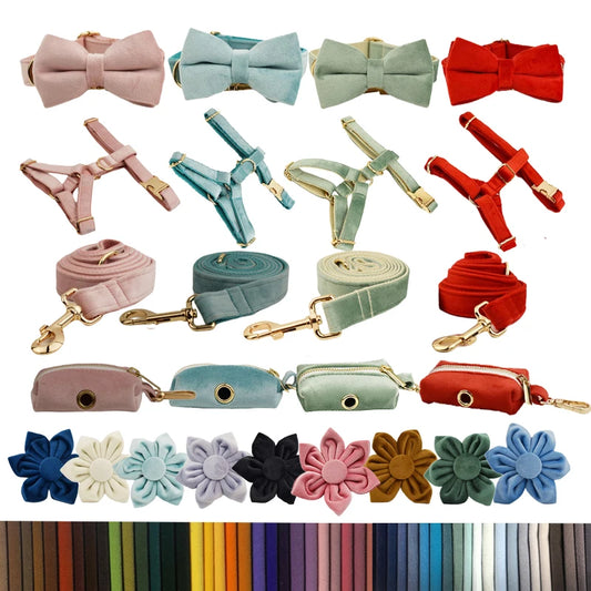 Multi Colors Pet Harness And Leash Set XS-XL Free Logo Dog Collar Bowtie Leads Accessory Velvet Pet Poop Bag Holder
