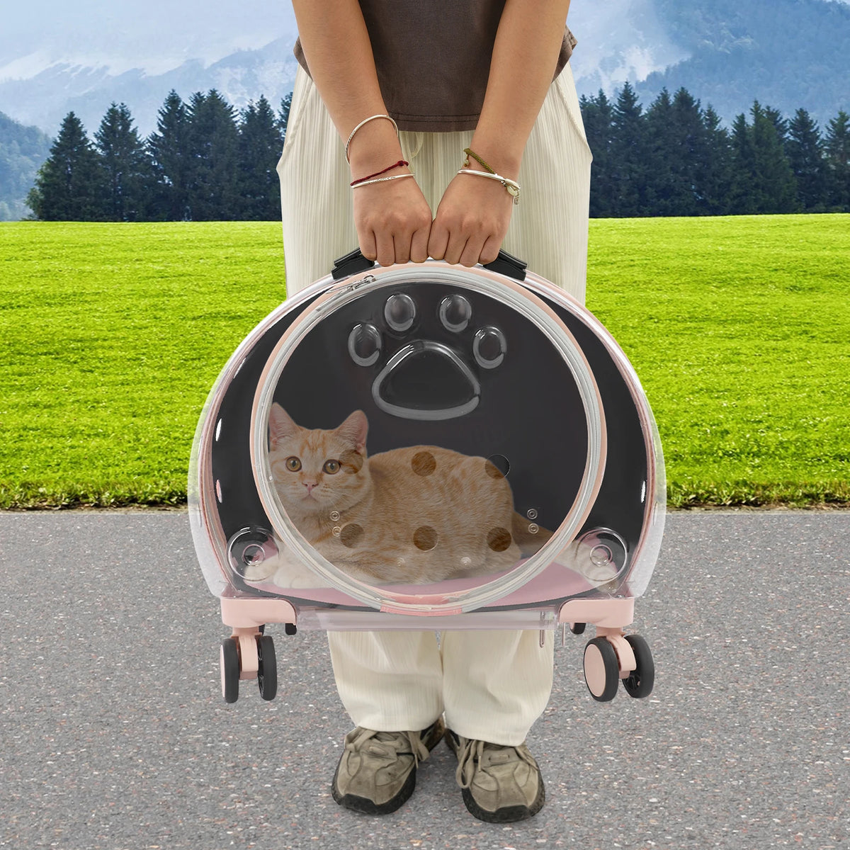 Light Pink Transparent Pet Travel Carrier Portable Trolley Suitcase for Pet Within 19.84lbs Durable Pet Transport Case Pet Cart
