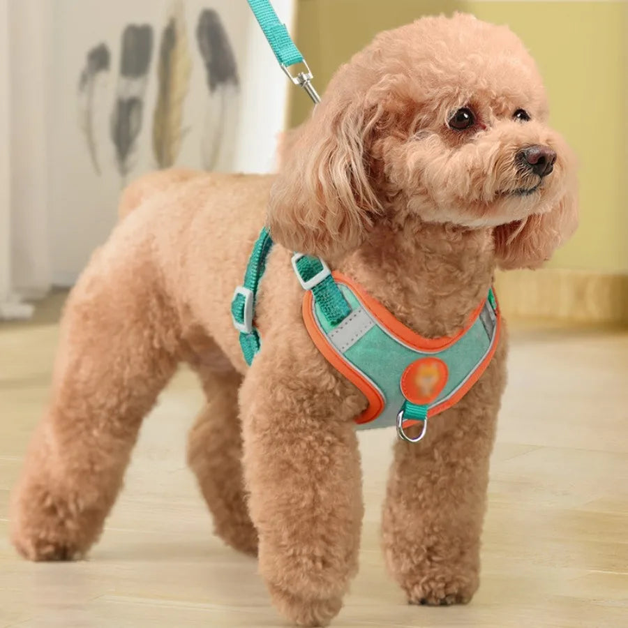 Vest type dog leash, medium size small dog, teddy bear, boomerang breast strap, puppy walking dog leash, dog chain.