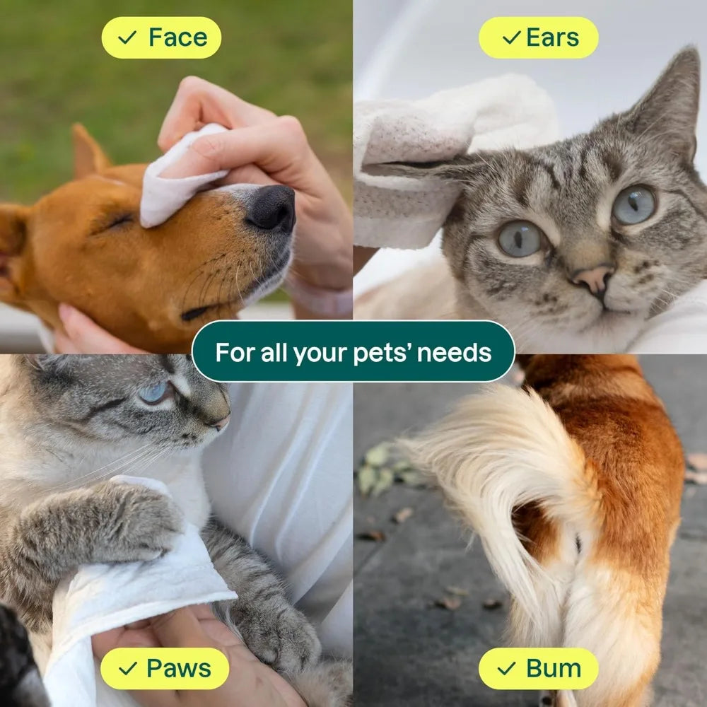 Pet Wipes for Dogs & Cats, 99% Water, EWG Verified, Gentle Unscented Cleaning Wipes for Paws, Ears, Face & Body, 72 Count