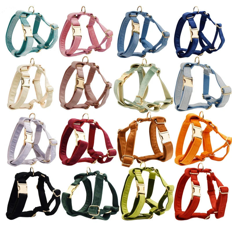 Multi Colors Pet Harness And Leash Set XS-XL Free Logo Dog Collar Bowtie Leads Accessory Velvet Pet Poop Bag Holder