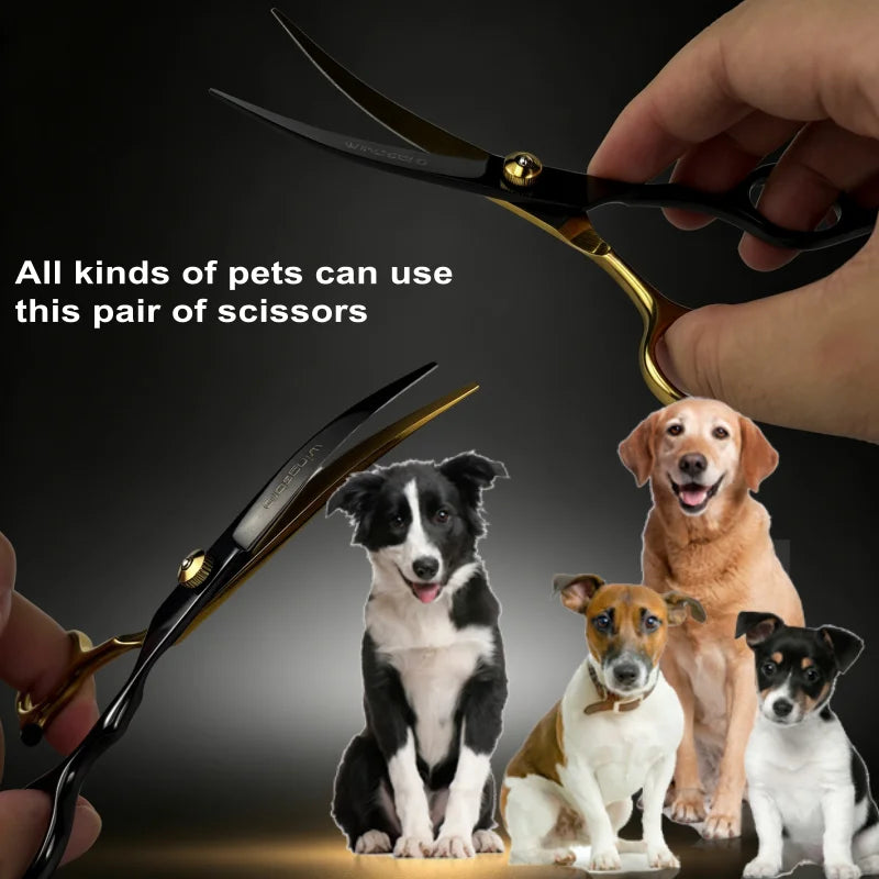 6.5 Inch Pet Grooming Scissors Kit Cat Hair Thinning Shear Pet Scissors Set Blackgold Dog Scissors