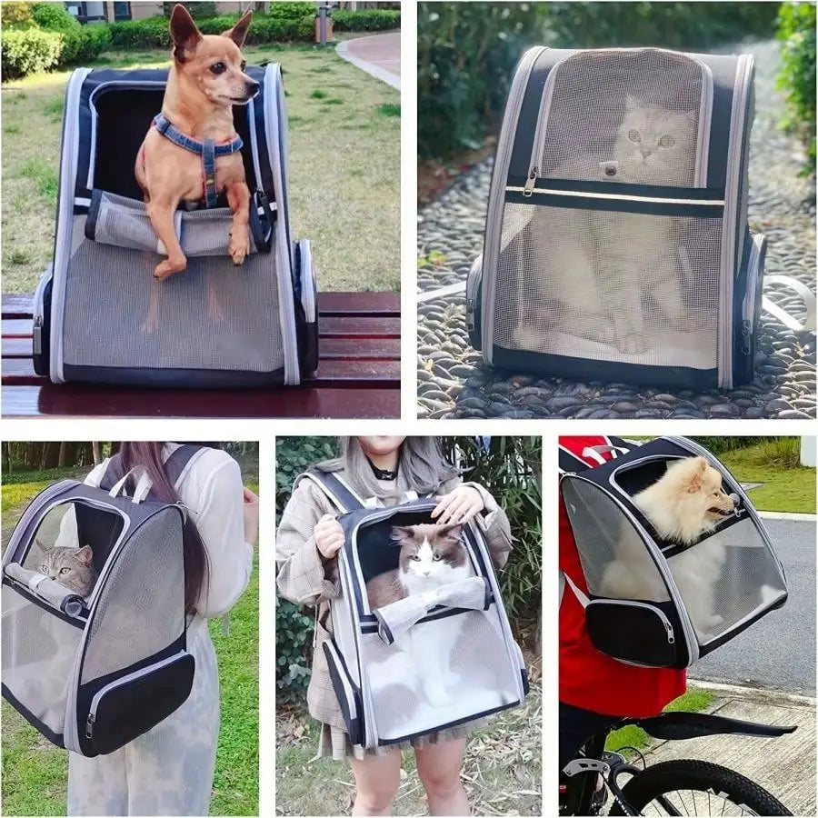 Airline Approved Pet Backpack Carrier Breathable Portable Cat Dog Travel Backpack Hold Up To 15 Lbs Soft Sided Small Animal Carry Bag For Puppies Kittens