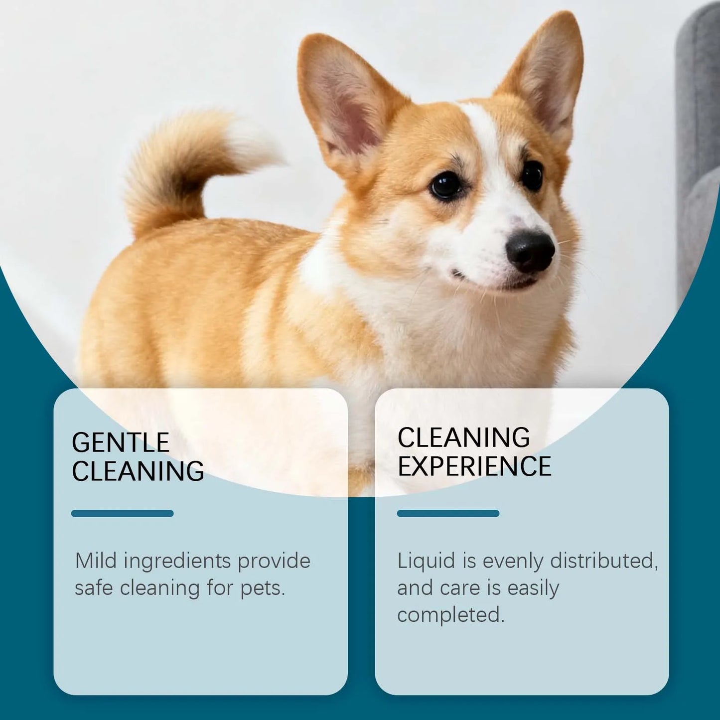 Dog Ear Care Drops Clean Your Pet's Ears With Gentle And Nourishing Ingredients