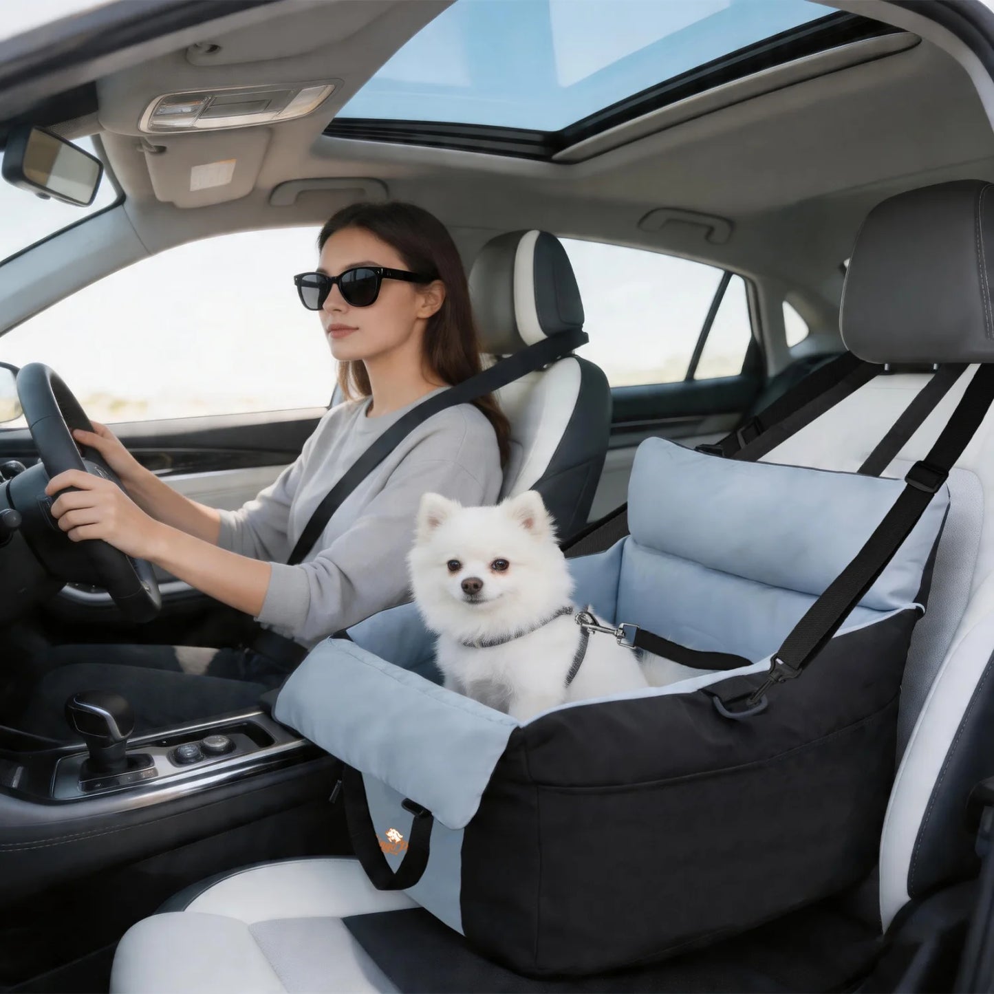 Dog Car Seat for Small Dogs Washable Pet Booster Car Seats with Safety Belt Puppy Travel Carrier Bed Black/Green up to 22 lbs